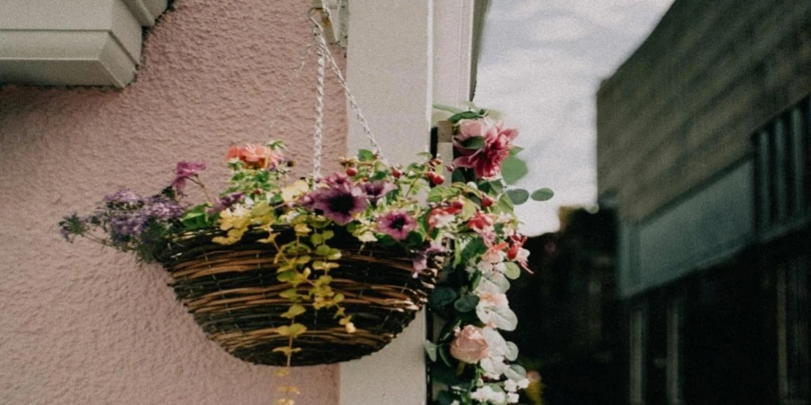 A hanging basket with colorful flowers on a pink wall beside a narrow street