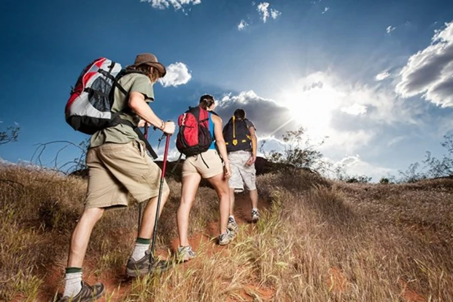 A hiking tour group with one person using walking sticks