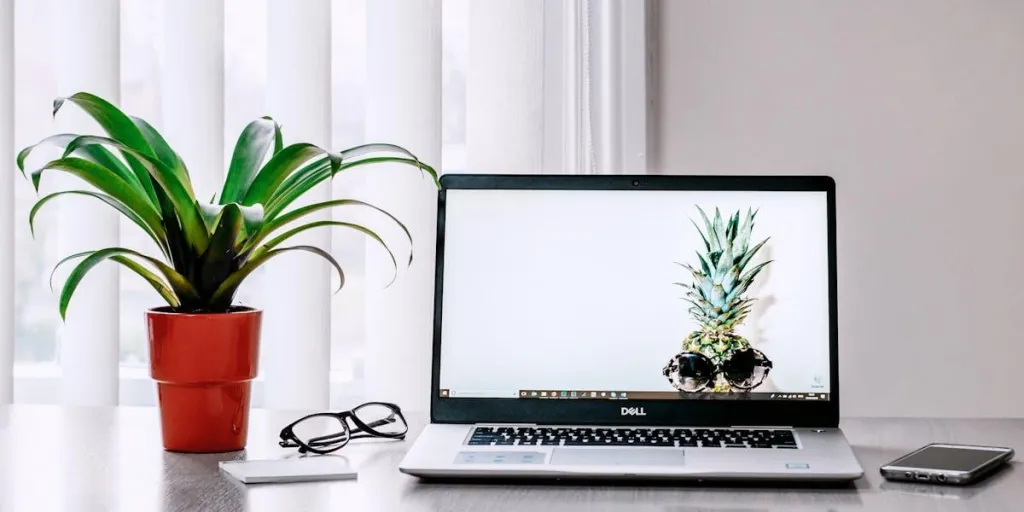 A laptop near a plant and glasses