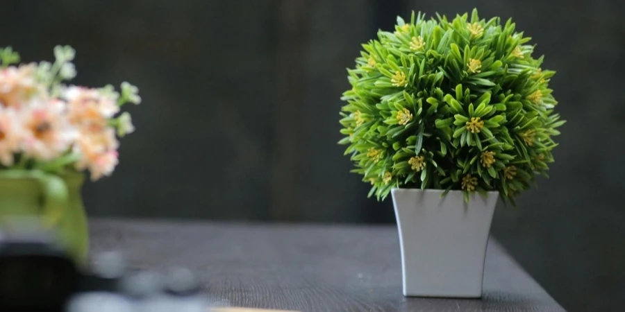 A small plant in a white pot