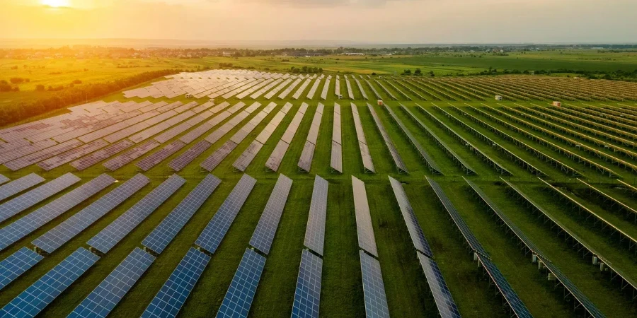 Aerial view of large electrical power plant with many rows of solar photovoltaic panels for producing clean ecological electric energy in morning.