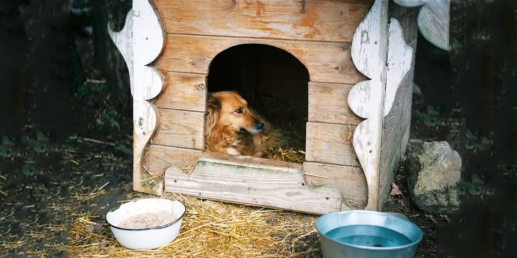 Brown dog inside wooden heated pet house outdoors