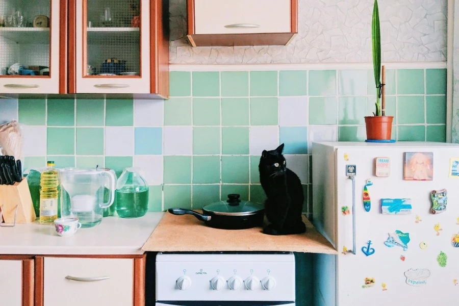 Cat Sitting on Stove in Kitchen with Cupboards