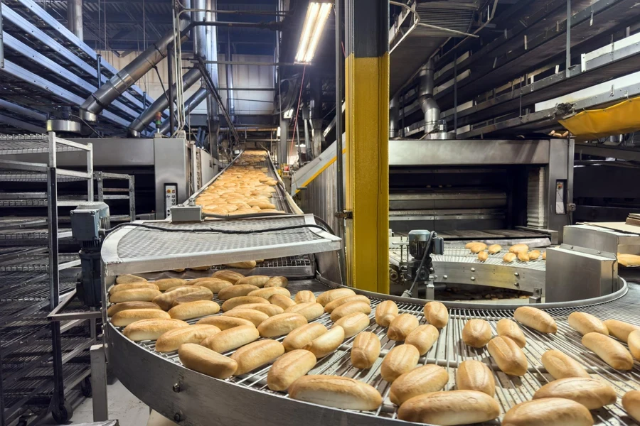 Conveyor belt full of fresh pieces of bread