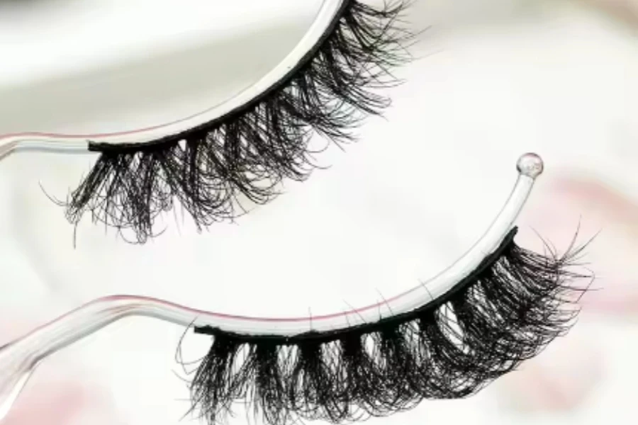 Eyelash Beauty