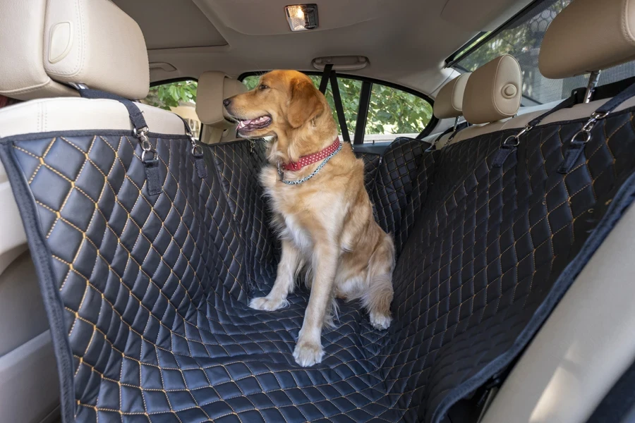 Golden Retriever on pet seat cover in car back seat