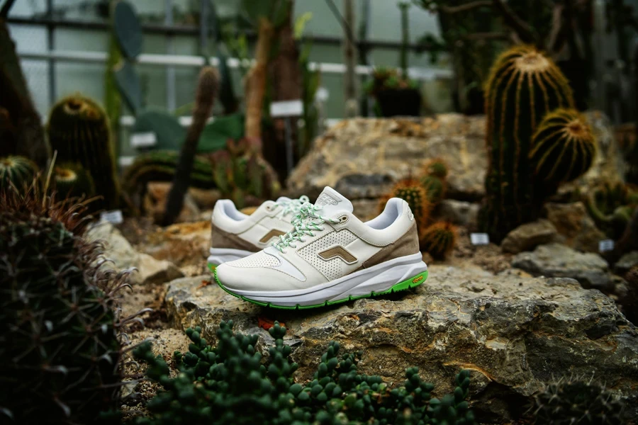 Hiking Shoes on a Rock