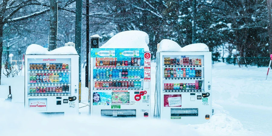 Hokkaido winter