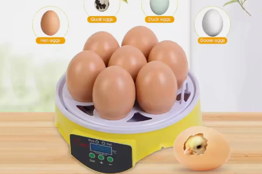 Mini Solar Fully Automatic Digital 7-Egg Incubator