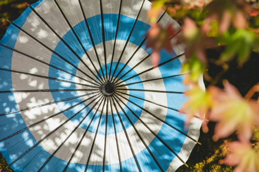 Oiled paper Japanese umbrella