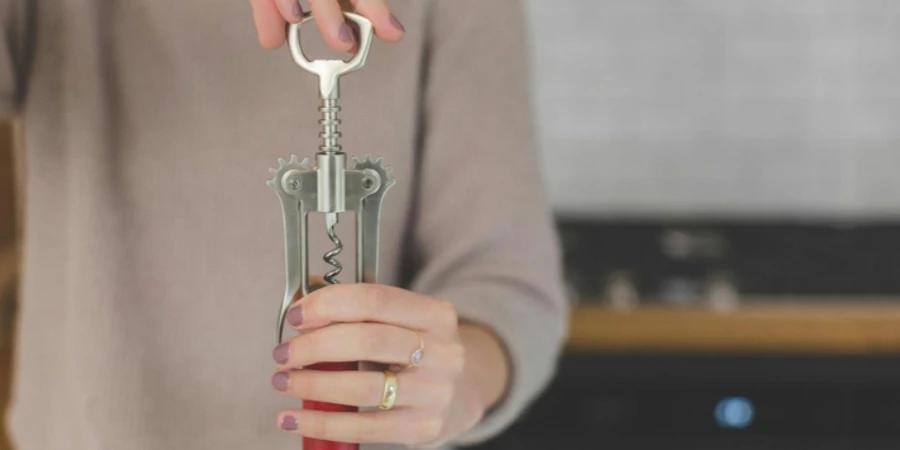 Person Holding Grey and Red Hand Tool