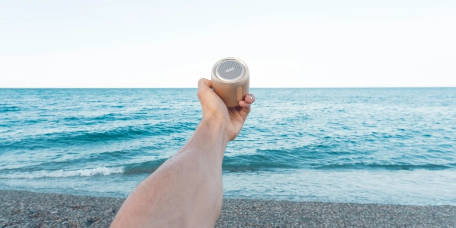 Person Holding Upward Brown Speaker in Front of Sea