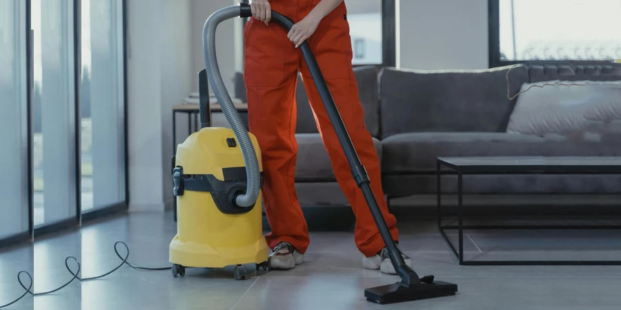 Person Using a Vacuum