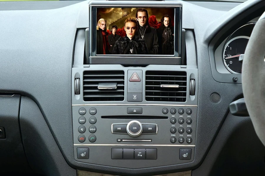 Vehicle Stereo With Monitor