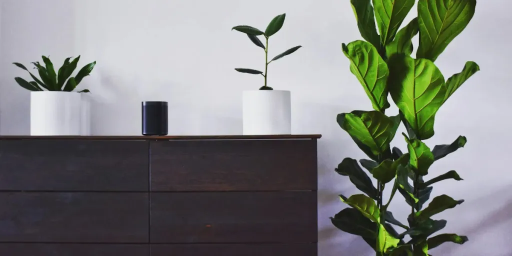 Dark wood sideboard with plant décor