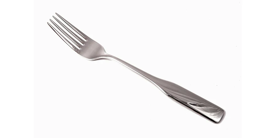 the fork