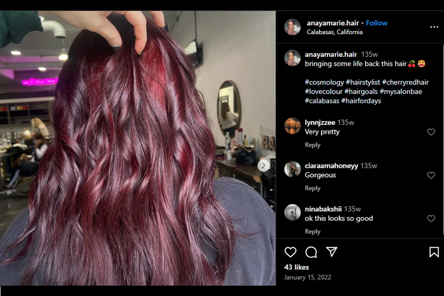 A screenshot of someone displaying a dark cherry red wig