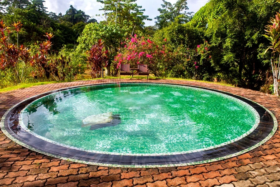 A small round green outdoor plunge pool