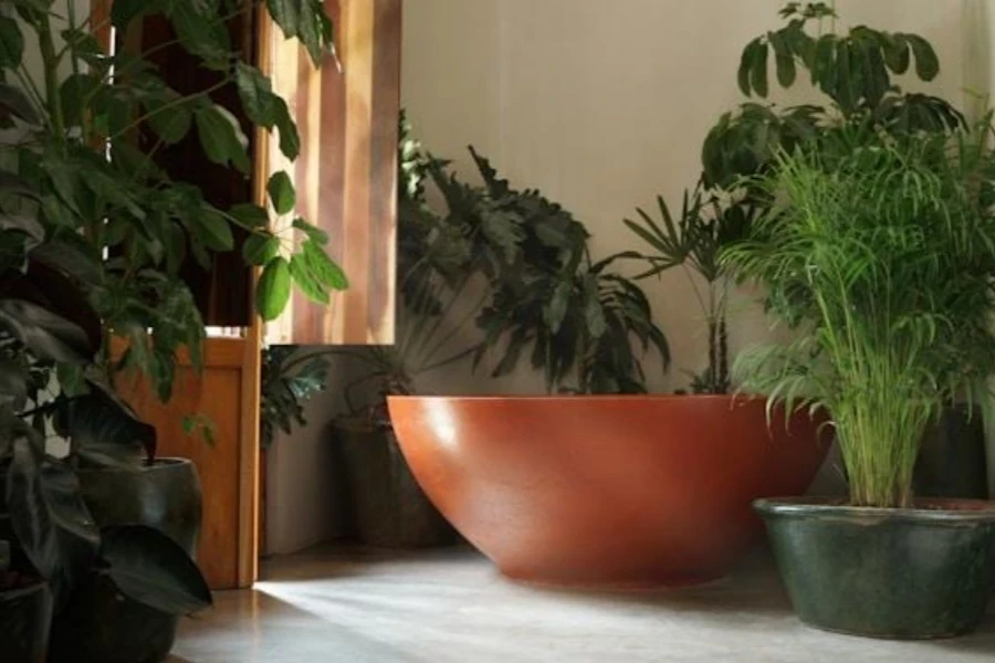 Beautiful planters in a corridor