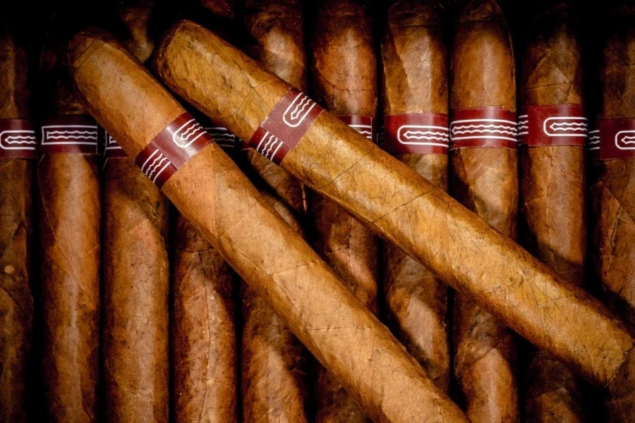 Cigars in Humidor