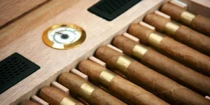Cigars in the Humidor