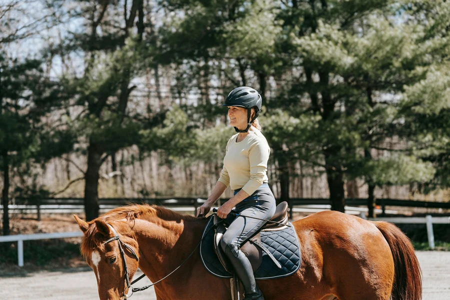 Equestrian Riding a Brown Horse