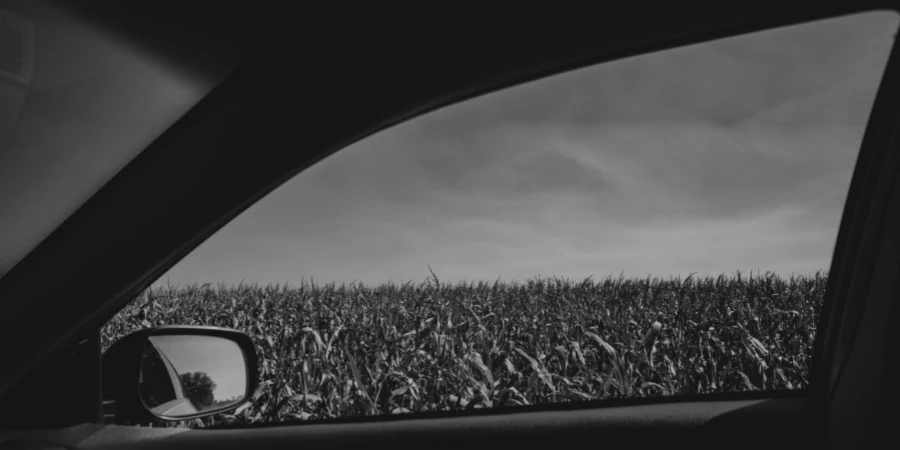 Grayscale Photography of Plant Field Seen Through Vehicle Window