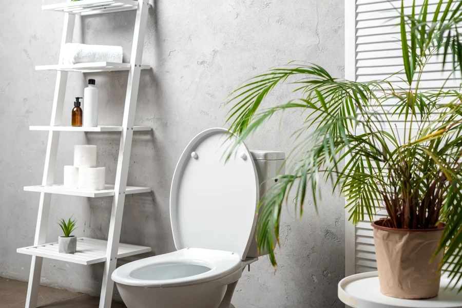 Green plants and a white storage ladder shelf in a bathroom