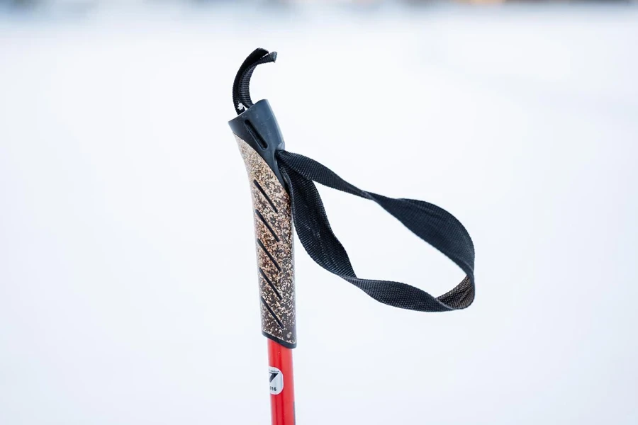 Handle from a ski pole with a loop for the hand