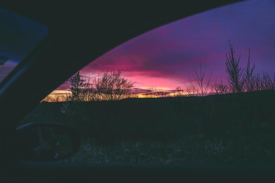 Person Inside Vehicle during Golden Hour