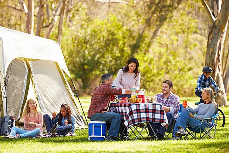 Two Families Enjoying Camping Holiday in Countryside