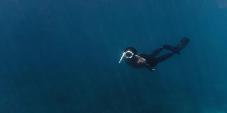 Underwater Picture of a Man Diving