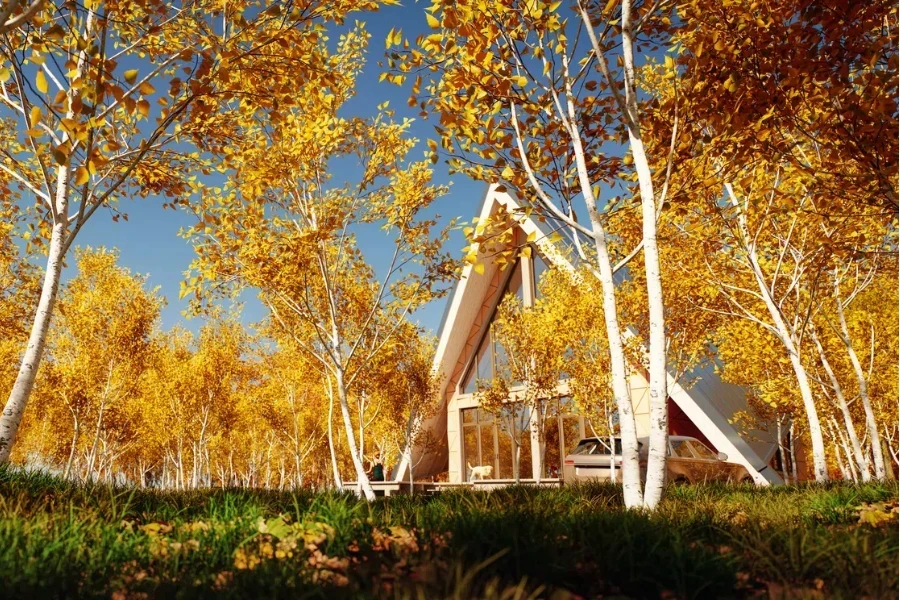 A-frame cabin in a grove of birch trees