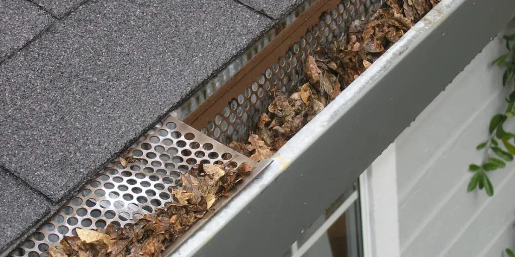 A gutter with dried leaves