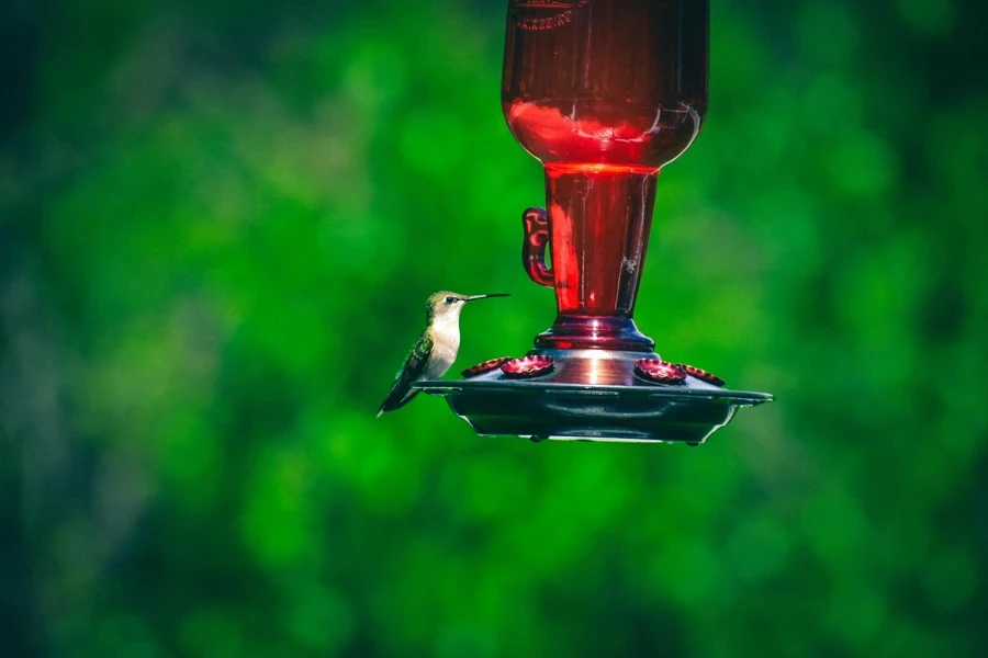 a hummingbird feeding from a glass red and black feeder