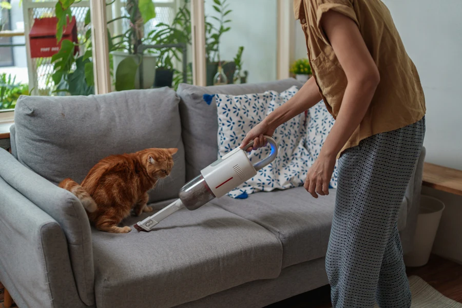 a woman cleaning a sofa with cordless stick vacuum cleaner