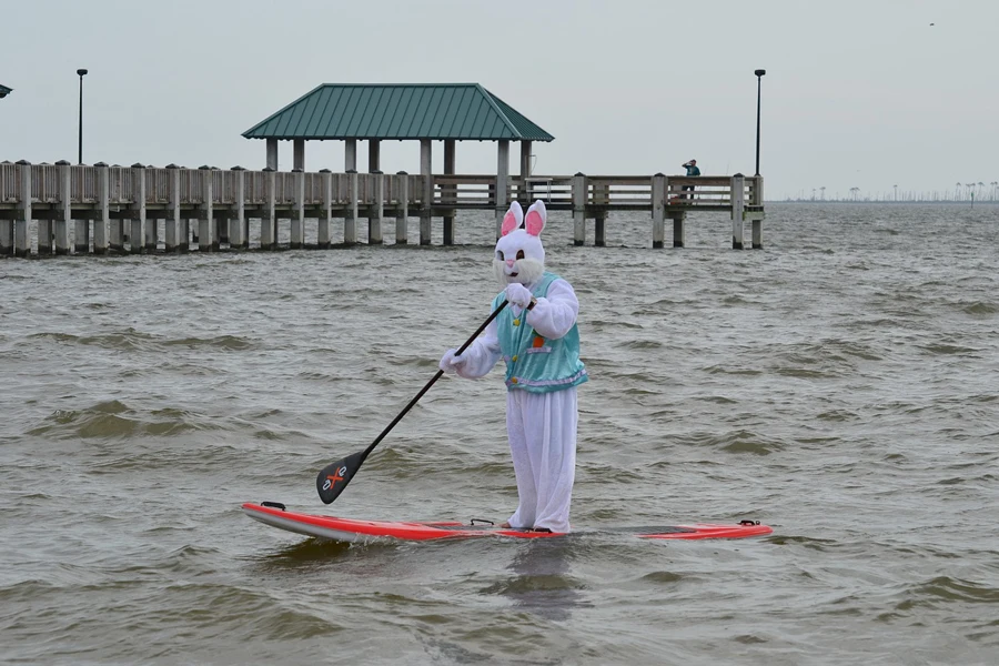 paddle board, water sport, activity