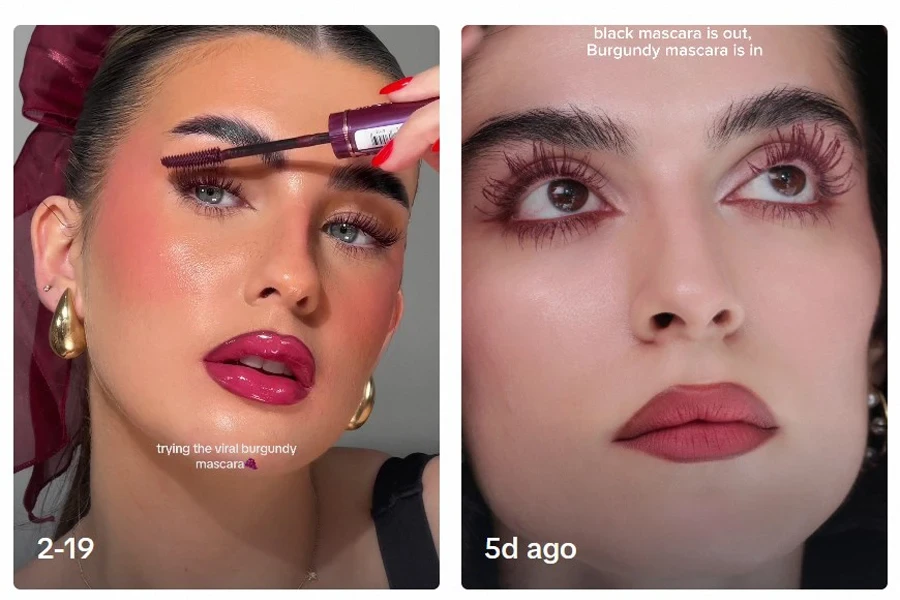 snapshot of TikTok