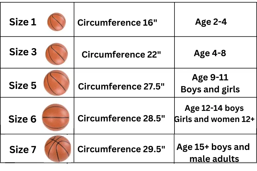 Table showing different basketball size by age