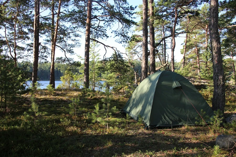 tent, forest, trees