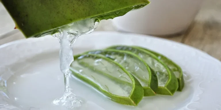 the Aloe Vera Gel