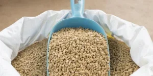 the dry food