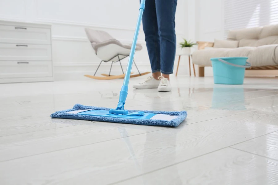 the floor cleaner