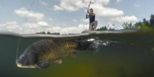 the man fishing on the lake