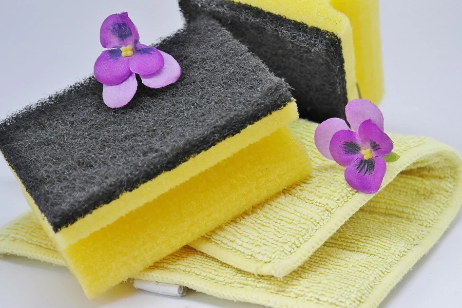 the sponges & scouring pads