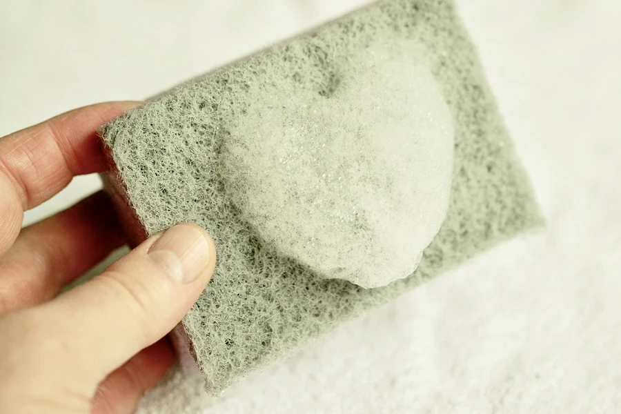 the sponges & scouring pads