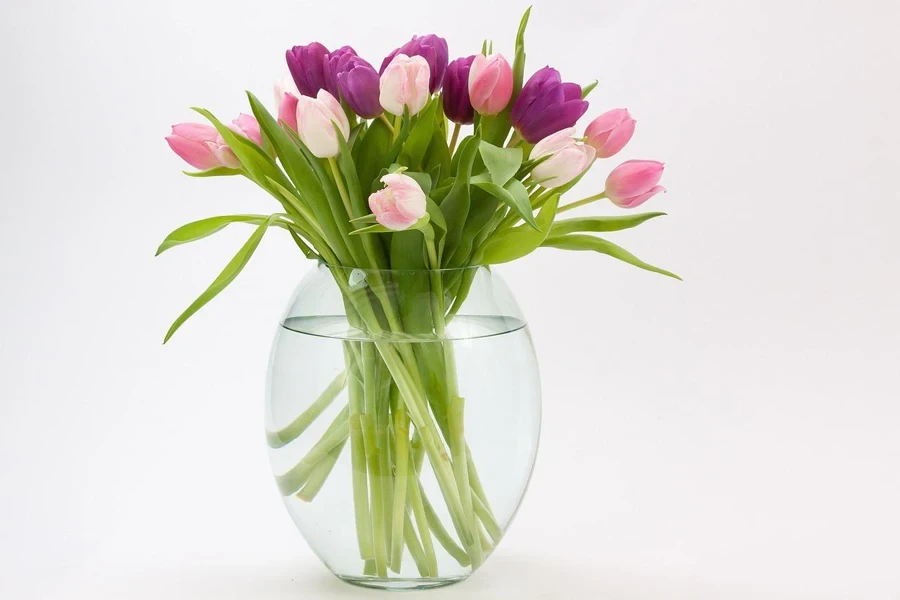 tulip, tulip bouquet, spring flower