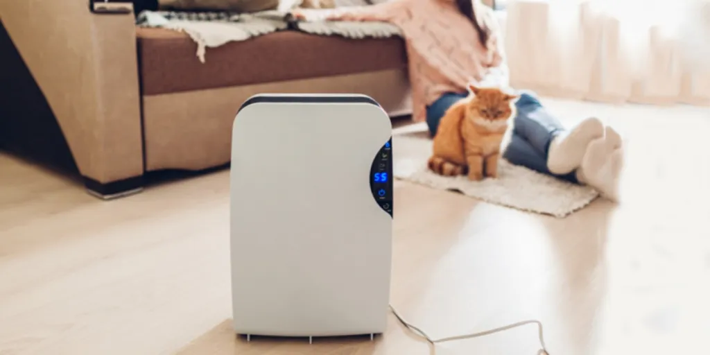 A dehumidifier with touch panel