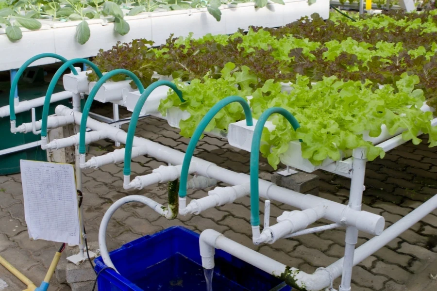 A hydroponic farm systems