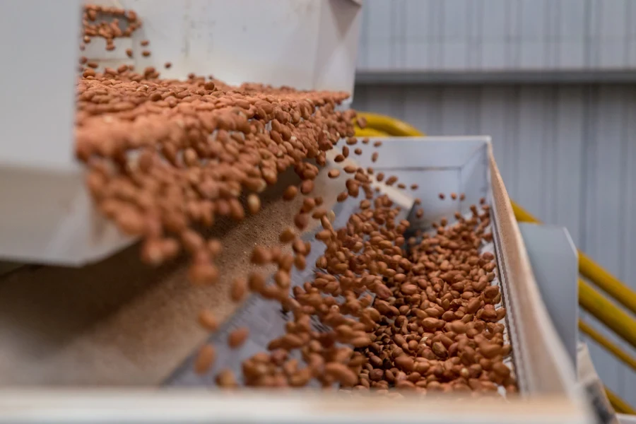 A machine roasting multiple peanuts